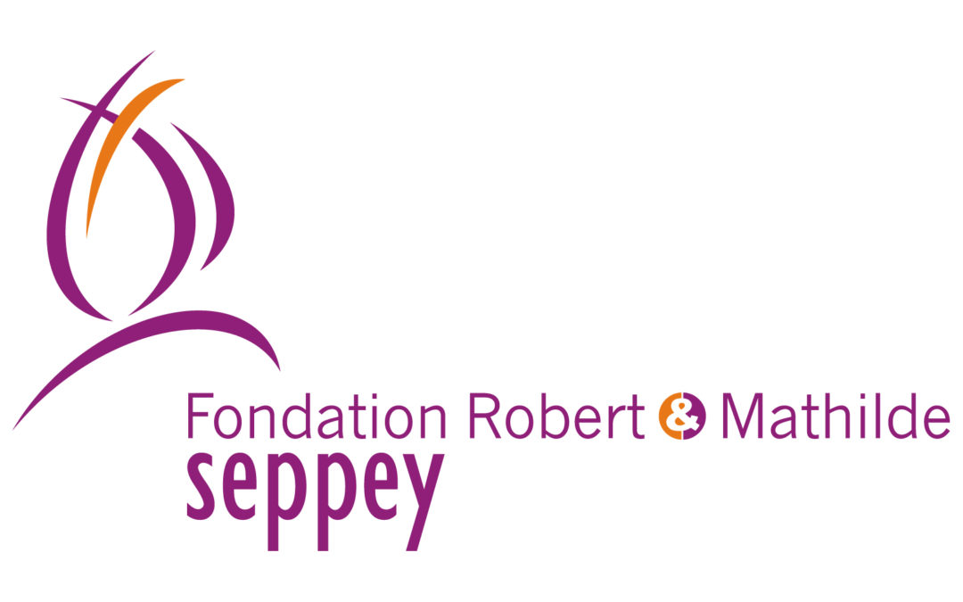 Projet Fondation Seppey